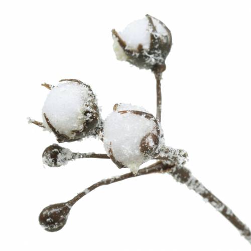 Floristik24 Jeges pamut ág 47cm