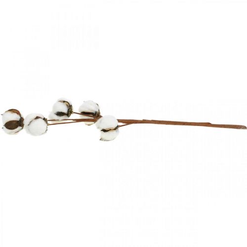 tételeket Pamutág díszítés Valódi pamut díszág 5 fej 50cm