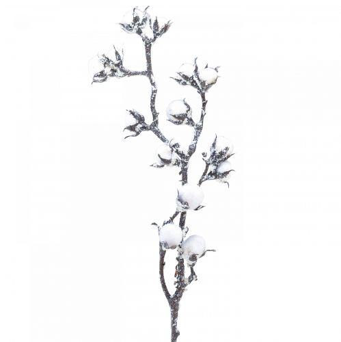Floristik24 Műpamut ágú pamut virágok hóval 79cm