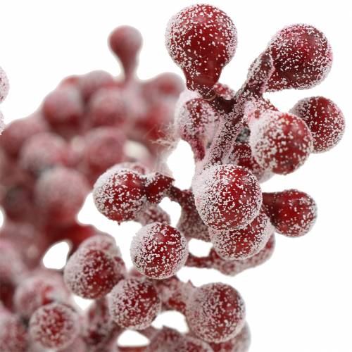 tételeket Bogyócsákány piros, jeges 21cm 12 db