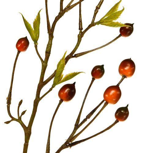 Floristik24 Bogyóág piros műág deco ág 82cm