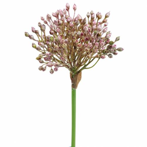 Floristik24 Bogyó ág Bogyó zöld mű 60cm