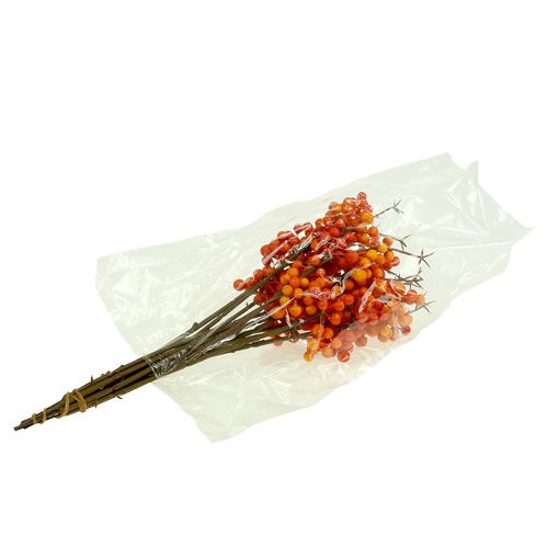 Floristik24 Bogyóág narancs L 30cm 12db