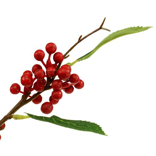 Floristik24 Bogyóág piros 63cm 4db