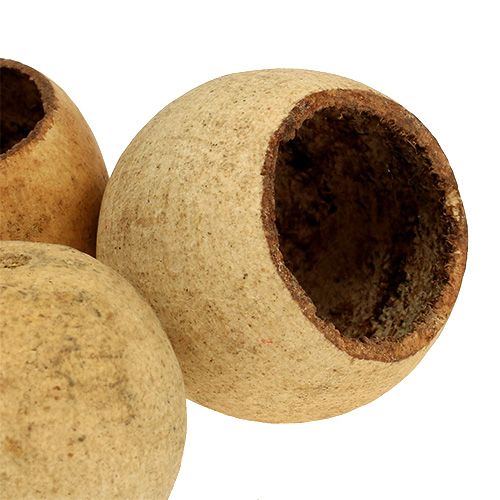 tételeket Bell Cup kis natúr 25 db