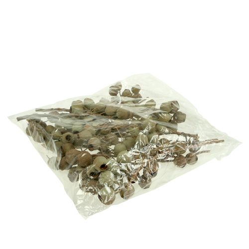 tételeket Bellgum ág 4 - 14 fej 20 db