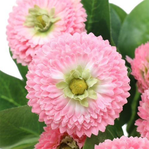 Floristik24 Bellisbund rózsaszín 24cm 2db