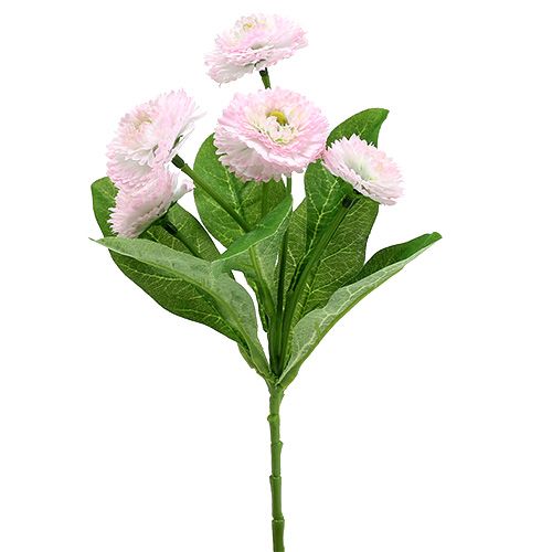 Floristik24 Bellispick rózsaszín L 24cm