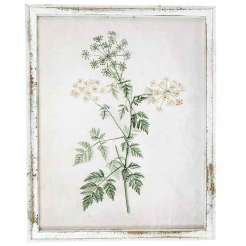 Floristik24 Vintage faldísz, kép kerettel fa szárított növény 40×50cm