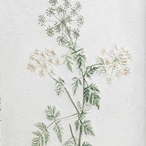 Floristik24 Vintage faldísz, kép kerettel fa szárított növény 40×50cm