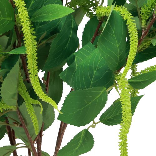 tételeket Mesterséges növények műágak nyírfaág dekoráció 65cm 3 db