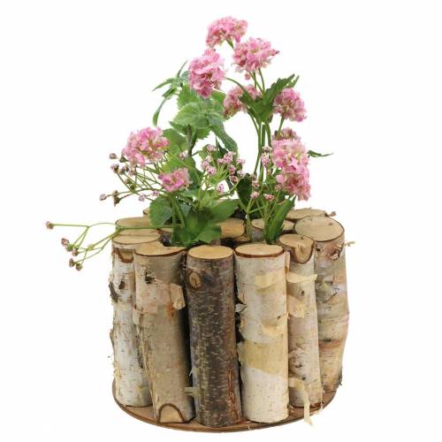 Floristik24 Nyírfa tégely natúr kémcsövekkel Ø17cm H13cm