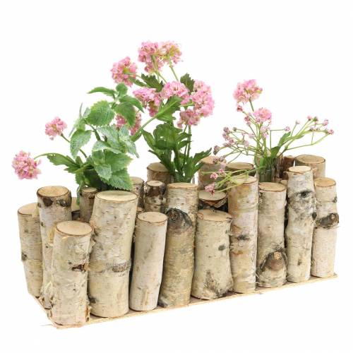 Floristik24 Nyírfa tégely natúr kémcsövekkel 32cm