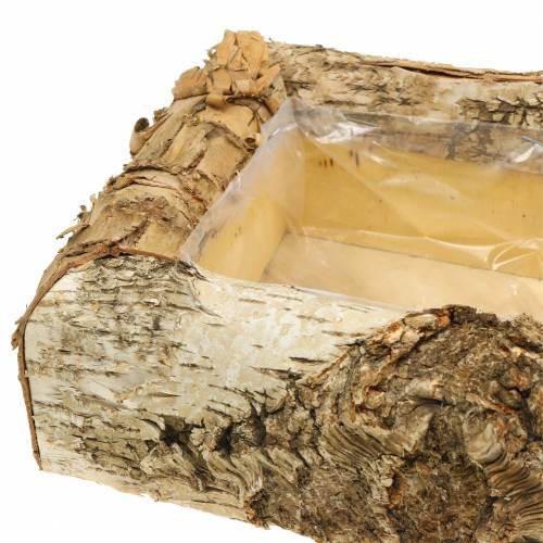 Floristik24 Nyírfaültető 30cm x 20cm H8cm