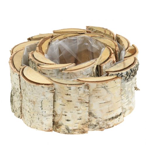 Floristik24 Ültető kerek nyír 2db