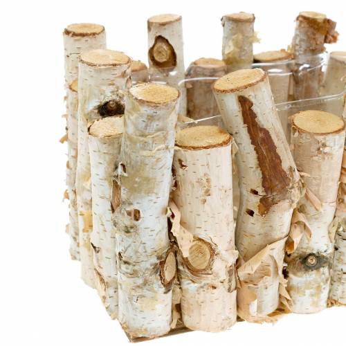 Floristik24 Nyírfaültető 20cm x 11cm