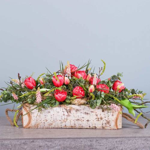 Floristik24 Nyírfa ültetvénydoboz kötélnyelekkel 38x16cm H9cm