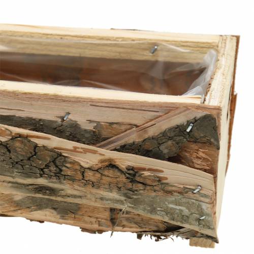 Floristik24 Nyírfaültető 25cm x 10cm / 30cm x 15cm 2db