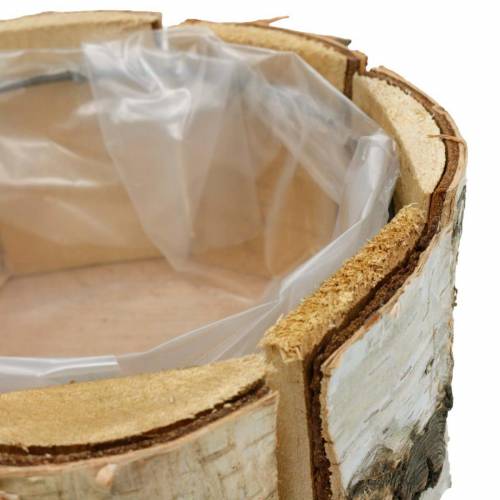 Floristik24 Cserepes nyír natúr nyírfa cserép kerek fa ültetőgép Ø13cm