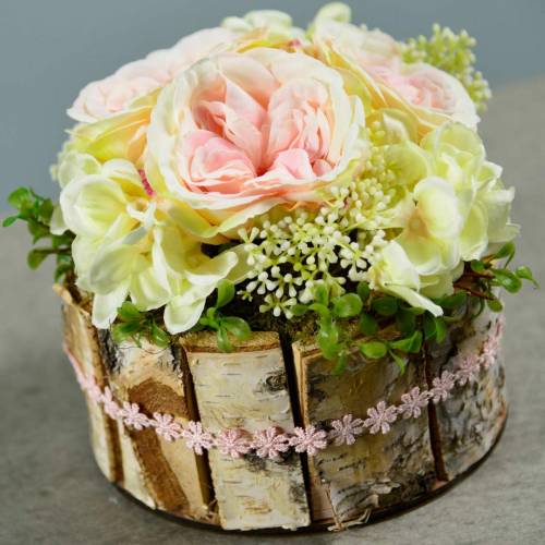 Floristik24 Cserepes nyír natúr nyírfa cserép kerek fa ültetőgép Ø13cm