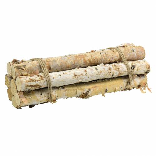 Floristik24 Nyírfa ágak kötegben natúr 40cm