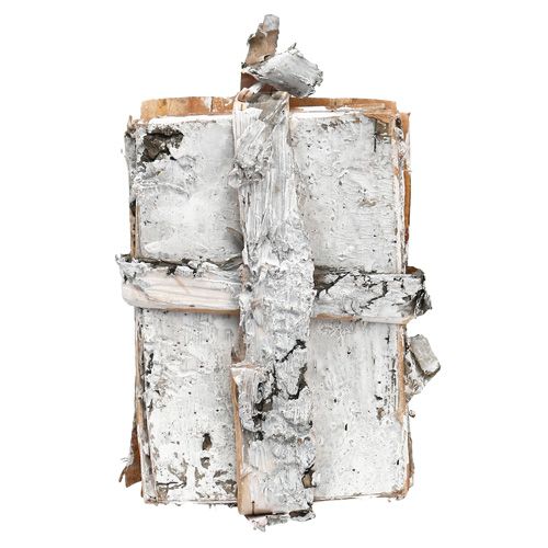 Floristik24 Nyírfa csíkok 8cm x 11,5cm 8 db