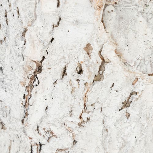 tételeket Kéregmintás kaspó, rusztikus belsőépítészethez és növények díszítéséhez ideális, 12 cm, 4 darab