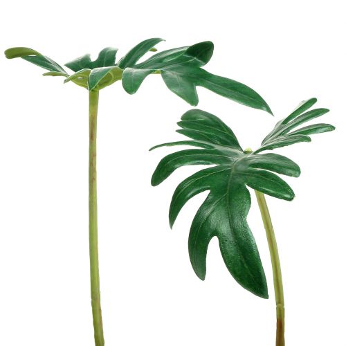 tételeket Levél Philodendron 31cm Zöld 12 db