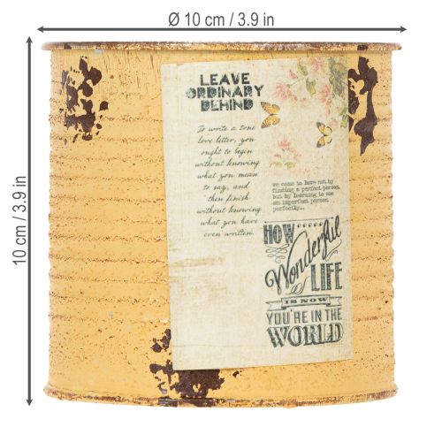 tételeket Fém kaspó, díszdobozban, barackszínű, Ø11cm, M10.5cm