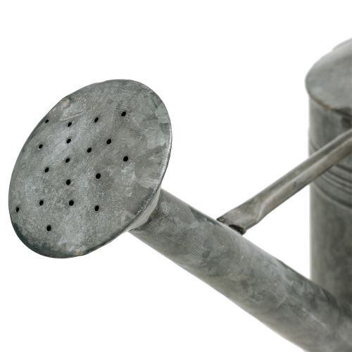 Floristik24 Ón öntözőkanna szürke 23,5cm x 17,5cm H19cm