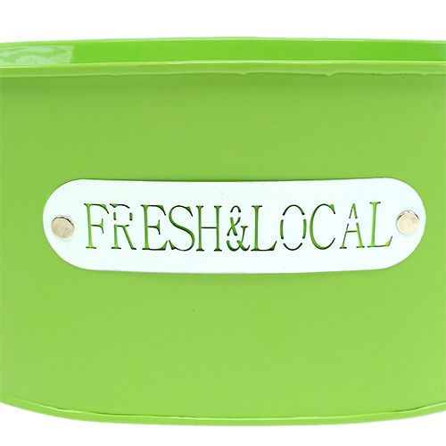 Floristik24 Bádogtál ovális zöld 22cm x 15cm H10cm