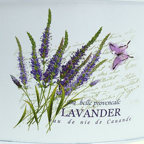 Floristik24 Lemeztálak 3 készletes fehér levendula motívummal