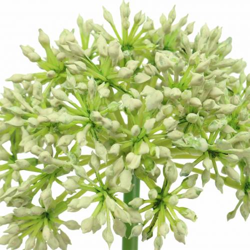 tételeket Allium műfehér 55cm
