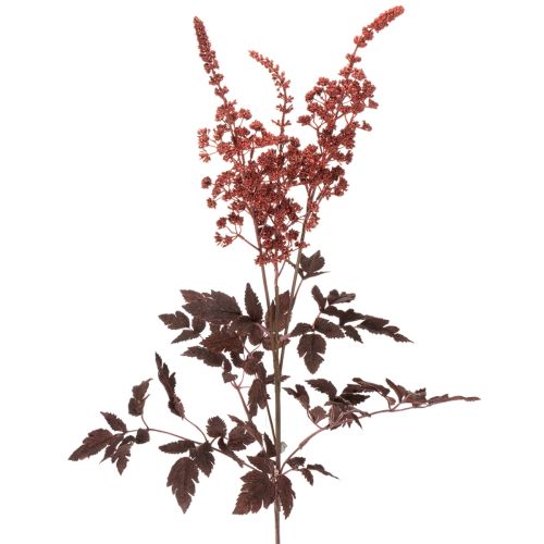 Művirág Astilbe hosszú szárú pompa 80cm vétel | Floristik24.hu