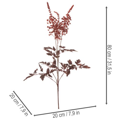 Művirág Astilbe hosszú szárú pompa 80cm | Floristik24.hu