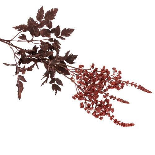 Művirág Astilbe hosszú szárú pompa 80cm | Floristik24.hu