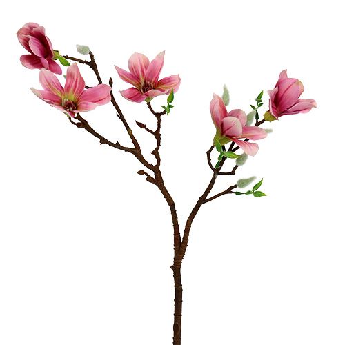 Floristik24 Magnolia mini rózsaszín, rózsaszín L53cm 3db