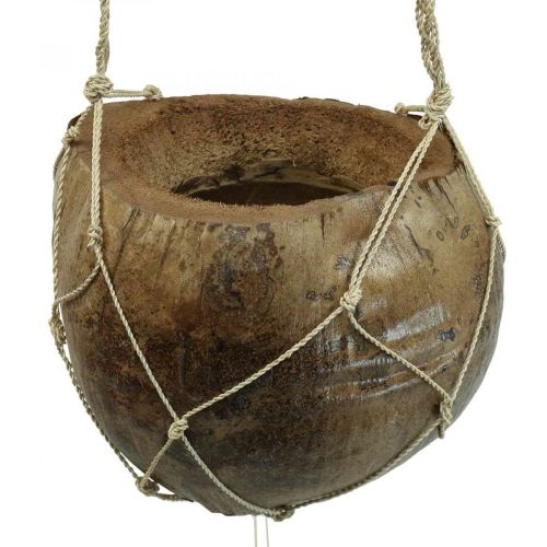 Floristik24 Virágkosár kókuszos tengeri dekoráció szélcsengő természet 110cm