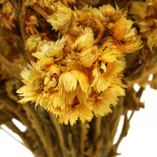 tételeket Mini szalmavirág sárga szárított virágcsokor száraz csokor H20cm 15g