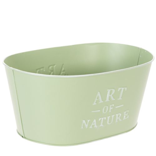 Virágtál ovális cink mentazöld 27×18cm M12.5cm | Floristik24.hu