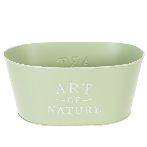 Virágtál ovális cink mentazöld 27×18cm M12.5cm vétel | Floristik24.hu