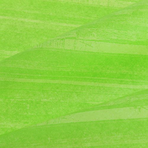 Floristik24 Virág Silk Trendline Green 50cm 6kg