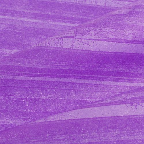 tételeket Virág Silk Trendline Purple 50cm 6kg