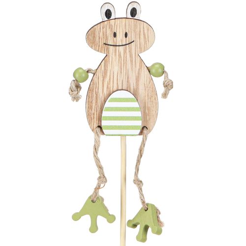 Floristik24 Virágrúd Fa Békatojás Natúrzöld 3,5x7cm 12 db