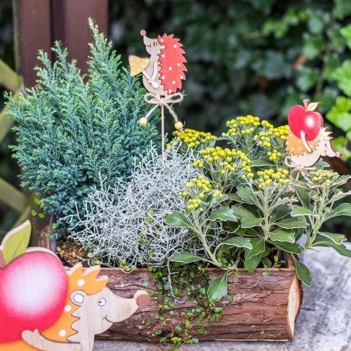 Floristik24 Virágpálcika sün, fa díszítéssel, őszi figura H9,5cm L32cm 12db