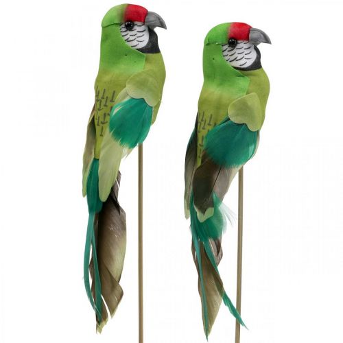 Floristik24 Virágdugó madár, deco papagáj zöld 23×4,5×5,5cm 6db