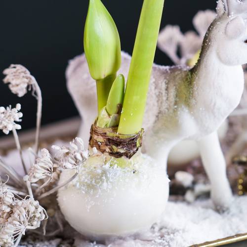 tételeket Virágmártó viasz 1kg fehér