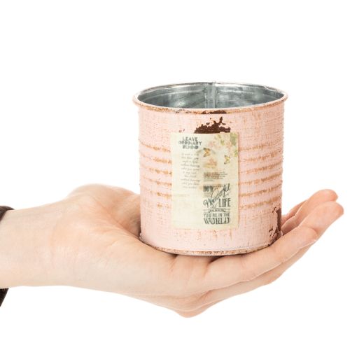 tételeket Virágcserép, díszes konzervdoboz, lazac mintázat, fém fűszertartó, Ø8cm, M7.5cm