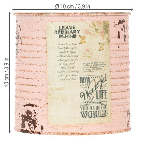 tételeket Virágcserép díszdoboz lazac fém nyári dekoráció Ø11cm M10.5cm