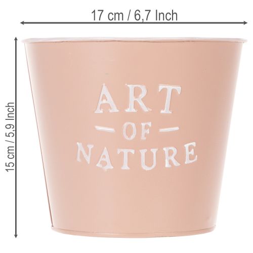 tételeket Cink virágcserép Art of Nature, antik rózsa, Ø17.5cm M15cm
